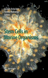 Stem Cells in Marine Organisms - 