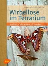 Wirbellose im Terrarium - Wolfgang Schmidt, Michael Meyer