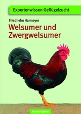 Welsumer und Zwerg-Welsumer