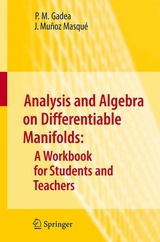 Analysis and Algebra on Differentiable Manifolds: A Workbook for Students and Teachers - P.M. Gadea, J. Muñoz Masqué