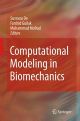 Computational Modeling in Biomechanics - 