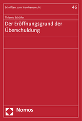 Der Eröffnungsgrund der Überschuldung - Thiemo Schäfer