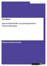 Querschnittstudie zur postoperativen Schmerztherapie - Tina Bauer