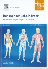 Der menschliche Körper - Kugler, Peter