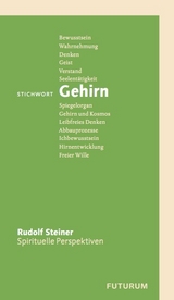 Stichwort Gehirn - Rudolf Steiner