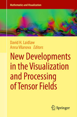 New Developments in the Visualization and Processing of Tensor Fields - 