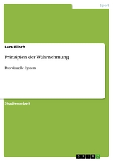 Prinzipien der Wahrnehmung - Lars Blisch