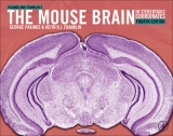 Paxinos and Franklin's the Mouse Brain in Stereotaxic Coordinates - Paxinos, George; Franklin, Keith B.J.