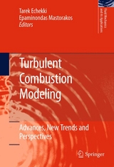 Turbulent Combustion Modeling - 