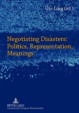 Negotiating Disasters: Politics, Representation, Meanings - 