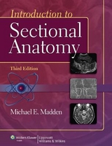 Introduction to Sectional Anatomy - Madden, Michael