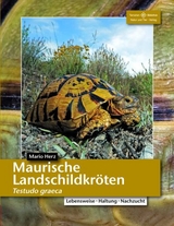 Maurische Landschildkröten - Mario Herz