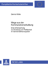 Wege aus der Kommunalverschuldung - Dennis Sander