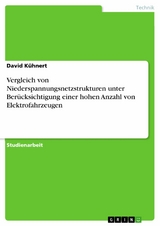 Vergleich von Niederspannungsnetzstrukturen unter Berücksichtigung einer hohen Anzahl von Elektrofahrzeugen - David Kühnert