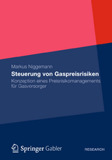 Steuerung von Gaspreisrisiken - Markus Niggemann