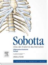 Sobotta, Atlas der Anatomie des Menschen Heft 1 - Friedrich Paulsen, Jens Waschke