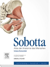 Sobotta, Atlas der Anatomie des Menschen Heft 3 - Friedrich Paulsen, Jens Waschke