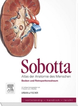 Sobotta, Atlas der Anatomie des Menschen Heft 6 - Friedrich Paulsen, Jens Waschke