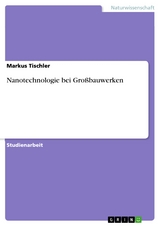 Nanotechnologie bei Großbauwerken - Markus Tischler