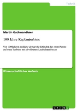 100 Jahre Kaplanturbine - Martin Gschwandtner