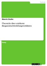 Übersicht über etablierte Biogasentschwefelungsverfahren - Marvin Gruhn