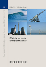 Effektiv zu mehr Energieeffizienz? - 