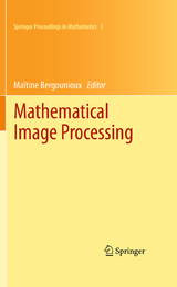 Mathematical Image Processing - 