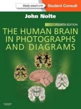The Human Brain in Photographs and Diagrams - Nolte, John
