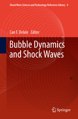 Bubble Dynamics and Shock Waves - 