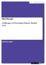 Challenges of Providing Primary Health Care - Bikal Dhungel