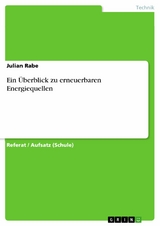 Ein Überblick zu erneuerbaren Energiequellen - Julian Rabe