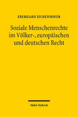 Soziale Menschenrechte im Völker-, europäischen und deutschen Recht - Eberhard Eichenhofer