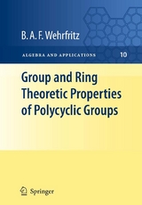 Group and Ring Theoretic Properties of Polycyclic Groups - B.A.F. Wehrfritz