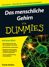 Das menschliche Gehirn für Dummies - Frank Amthor