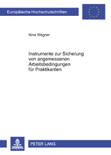 Instrumente zur Sicherung von angemessenen Arbeitsbedingungen für Praktikanten - Nina Wagner