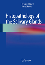 Histopathology of the Salivary Glands -  H.B. Hellquist,  Alena Skalova