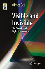 Visible and Invisible - Olmes Bisi