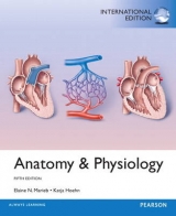 Anatomy & Physiology - Marieb, Elaine N.; Hoehn, Katja