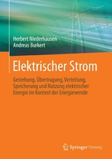 Elektrischer Strom -  Herbert Niederhausen,  Andreas Burkert