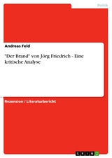 "Der Brand" von Jörg Friedrich - Eine kritische Analyse - Andreas Feld