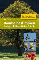 Bäume bestimmen - Knospen, Blüten, Blätter, Früchte - Rita Lüder