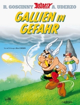 Asterix 33 - Uderzo, Albert