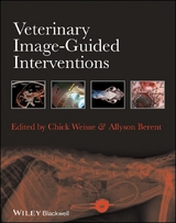 Veterinary Image-Guided Interventions - 