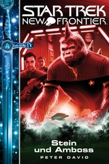 Star Trek - New Frontier 13: Stein und Amboss - Peter David