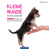 Kleine Hunde richtig erziehen - David Keulert