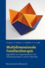 Multidimensionale Familientherapie -  Birgit Spohr,  Andreas Gantner,  Jeanine A. Bobbink,  Howard A. Liddle