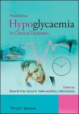 Hypoglycaemia in Clinical Diabetes - Frier, Brian M.; Heller, Simon; McCrimmon, Rory