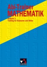 Abi-Trainer Mathematik / Analysis 1