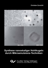 Synthese nanoskaliger Hohlkugeln durch Mikroemulsions-Techniken - Christian Zurmühl