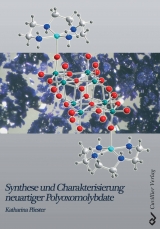 Synthese und Charakterisierung neuartiger Polyoxomolybdate - Katharina Pliester